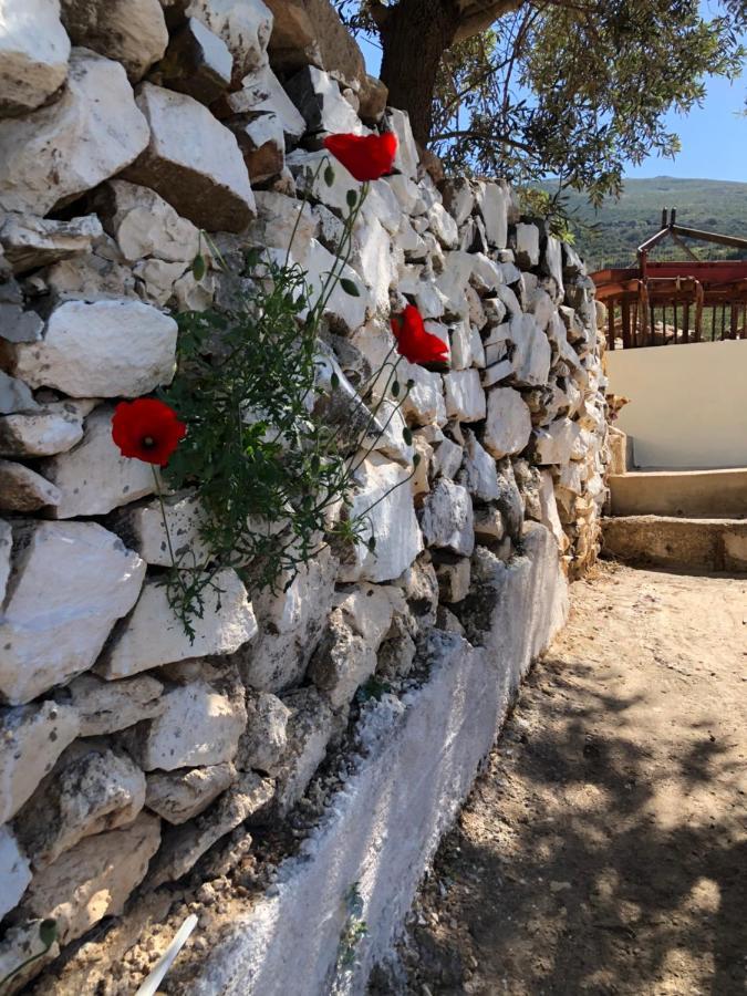 Areti Sea View Mountain Cottage AmigdhalokeFálion Exterior foto